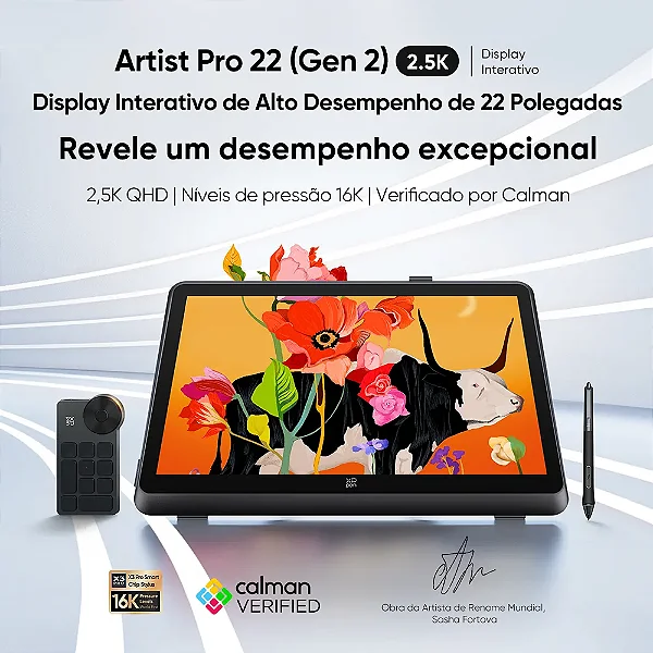 Display Interativo Artist Pro 22 Gen 2 Seminova - XP Pen