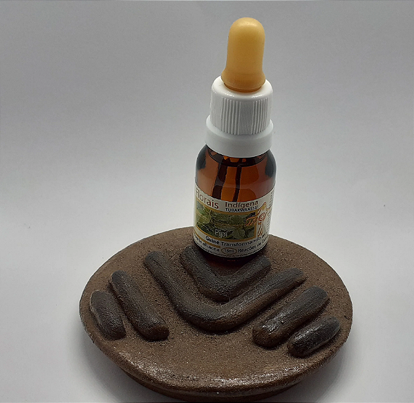 Floral Transformando as Reações de Estresse - Sistema Floral Indigena Tubakwaassu 15 mL