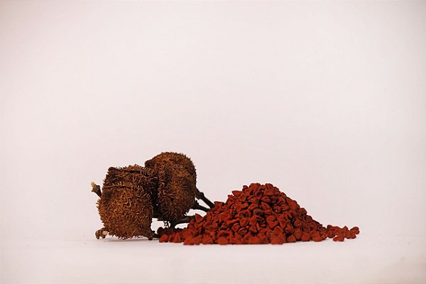 Urucum Sementes 30g