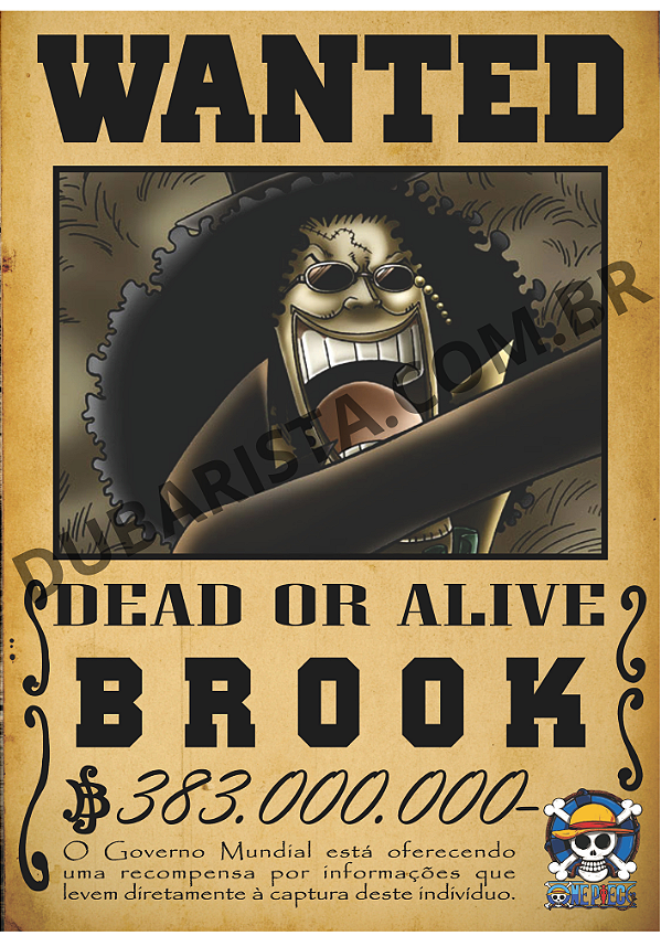 PLACA DECORATIVA  DE MDF TAM: A4 - TEMA: ONE PIECE PROCURADO / BROOK