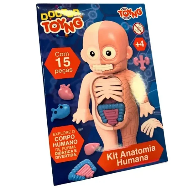 Kit Anatomia Humana