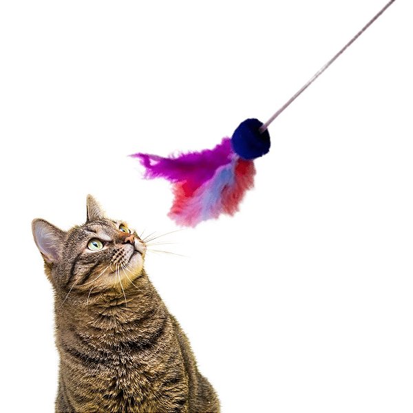 Varinha Pesca Gatinho
