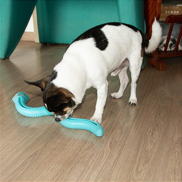 Brinquedo recheável - cobra