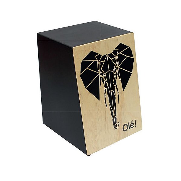 CAJON OLE ACUSTICO 120