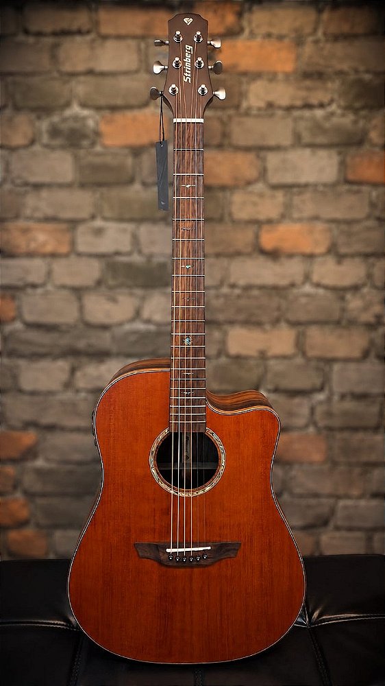 VIOLAO STRINBERG DIAMOND DD5SC SMS SMOKED SATIN FOLK C/ CASE