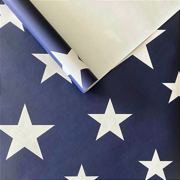 Papel de Parede Importado Azul Marinho e Estrelas Brancas Liso 10M