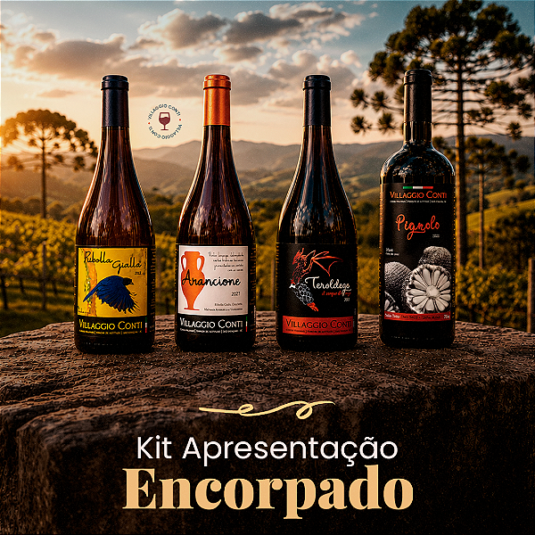 KIT APRESENTAÇÃO ENCORPADO - 4un.Vinhos VILLAGGIO CONTI