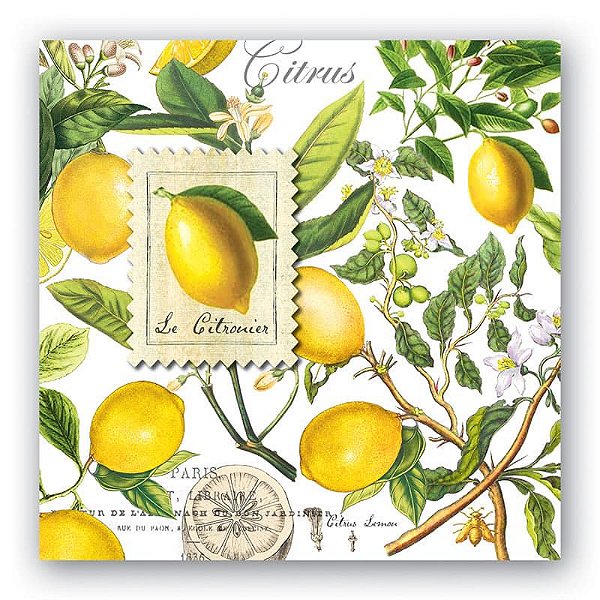 Guardanapo Lanche Lemon Basil Michel Design Work