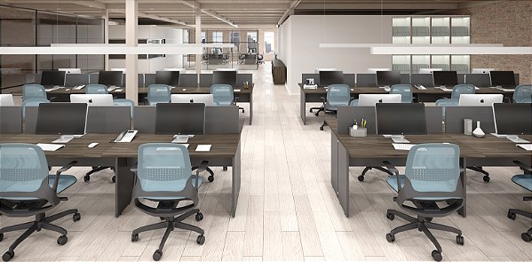 Linha PRIMA:  CLEAN - IMPACT - ARQ (Marzo Vitorino)