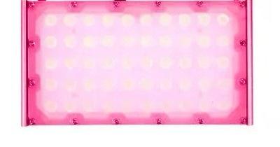 Refletor Led IP67 50W Rosa - Brisa