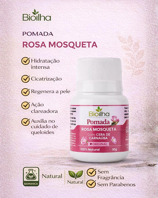 Pomada de Rosa Mosqueta 30g (Rosehip Ointment 30g)