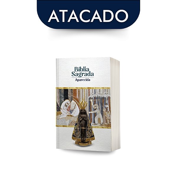 Bíblia Sagrada De Aparecida Bolso Atacado