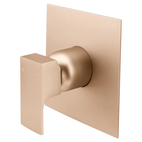 Acabamento Monocomando Chuveiro 520 Champanhe CH330 FANI