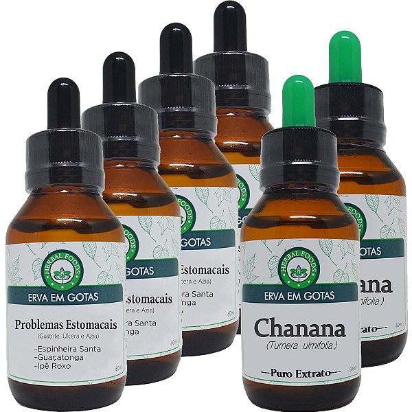 PROTOCOLO 4 Extratos Composto Problemas Estomacais +  2 Extratos de Chanana - 60ml