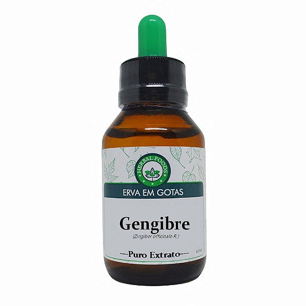 Gengibre - Extrato 60ml