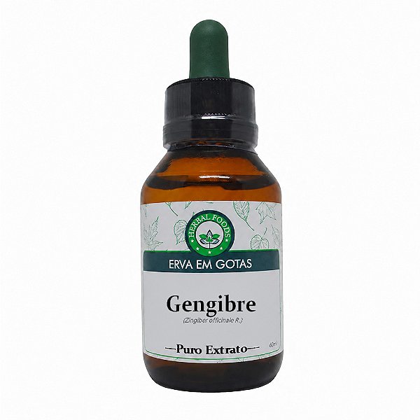 Gengibre - Extrato 60ml