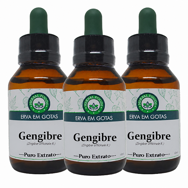 3 Extratos de Gengibre - 60ml