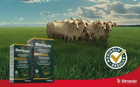 Moxisolv Endectocida 50ML - BIMEDA