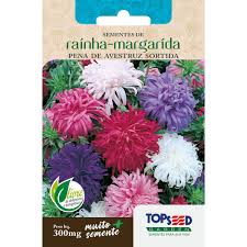 Sementes de Rainha-Margarida Pena de Avestruz Sortidas - Topseed