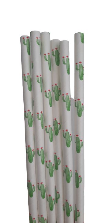 Canudo de Papel Cactos - 20 unds