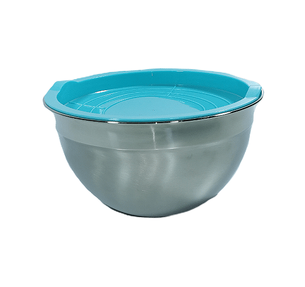 Bowl Inox com tampa plástica