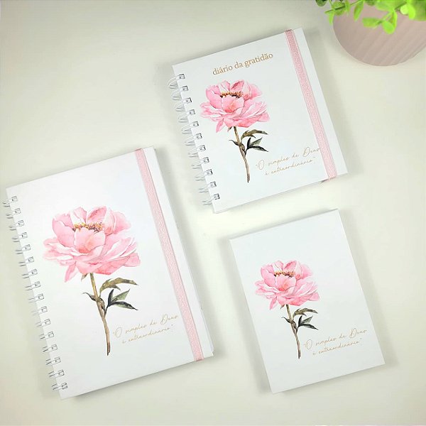 Kit Coleção Cristã | Caderno com Versículos + Diário da Gratidão + Bloquinho