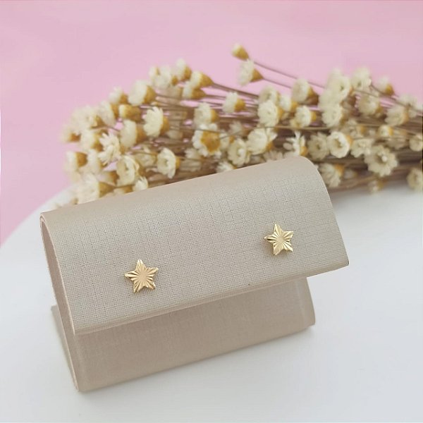 Brinco Banhado a Ouro De Estrela Fixo Bijou Art