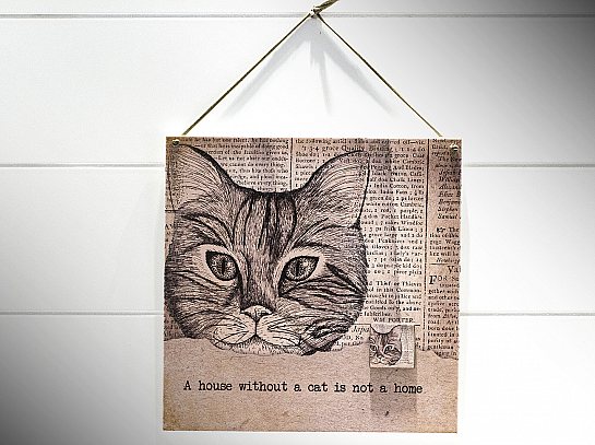 Quadro 20x20 journal cat "a house without..."