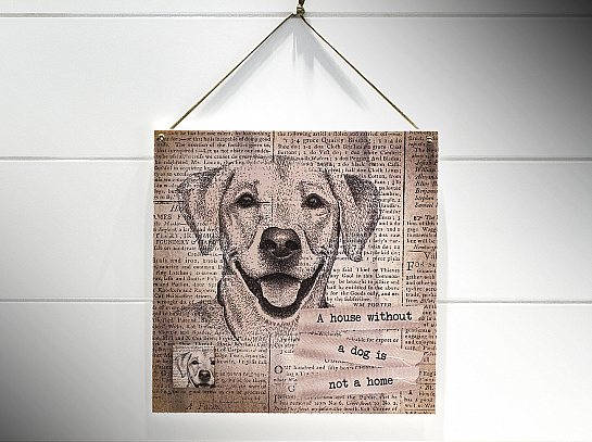 Quadro 20x20 journal dog "a house without..."