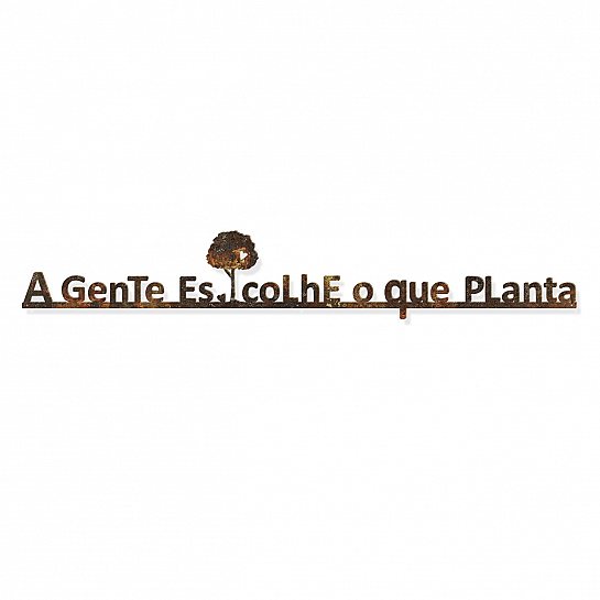 Frase ferro a gente escolhe o que planta