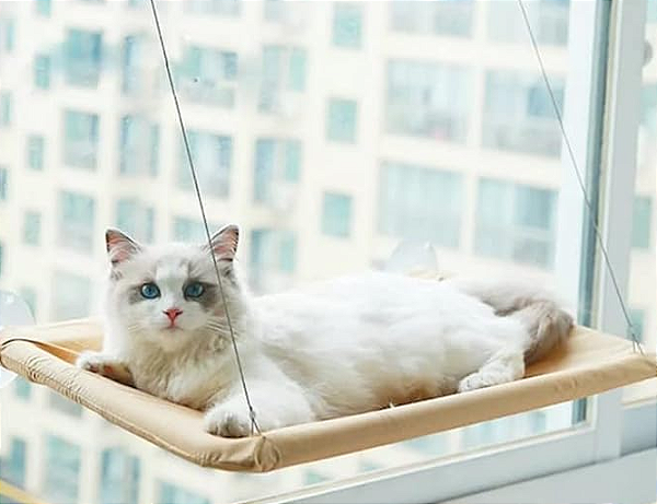 CAMA SUSPENSA PARA GATOS COM VENTOSA - C3B