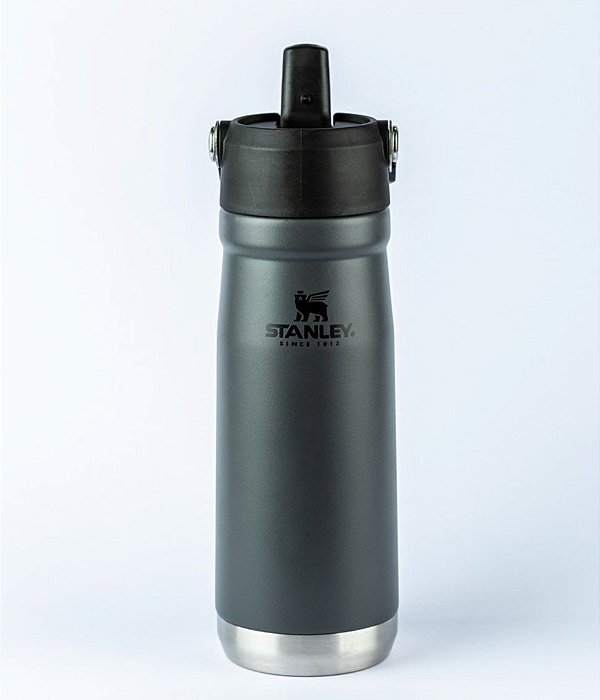 Garrafa Térmica Stanley 550ml Cinza