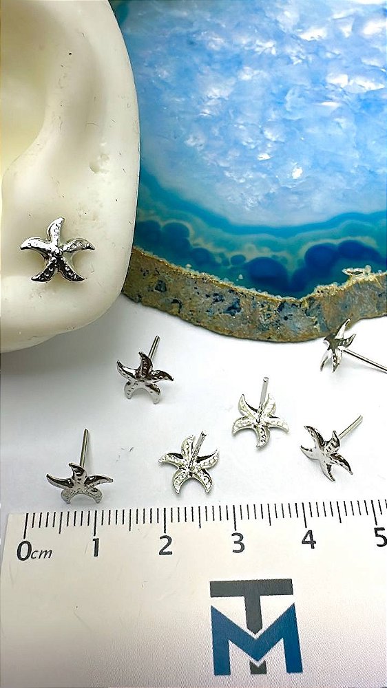 Brinco Estrela Aço Inox - 01 Par