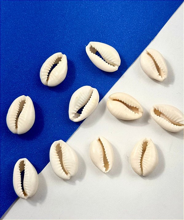 Buzios natural - pacote 10pçs