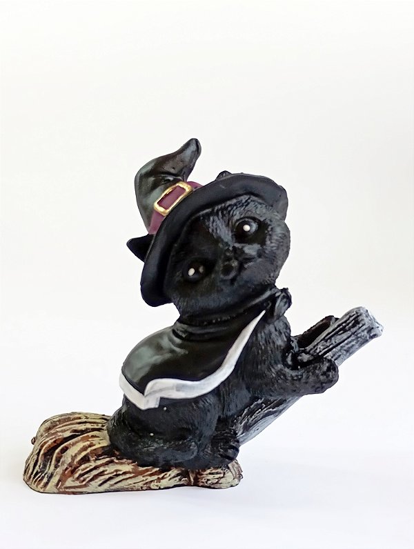 Gato Preto na Vassoura