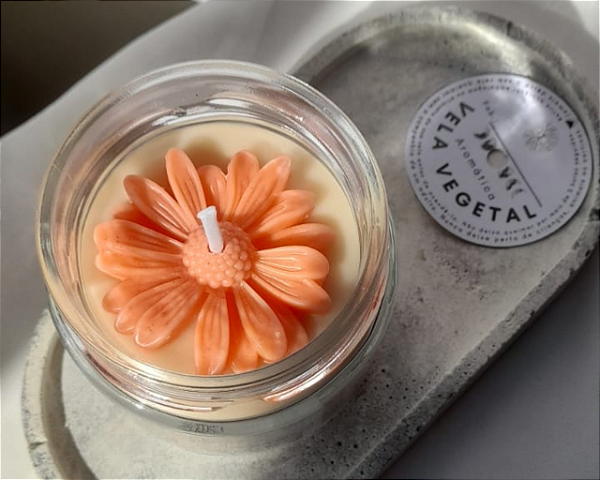 Vela Vegetal Perfumada Citrus Elegante