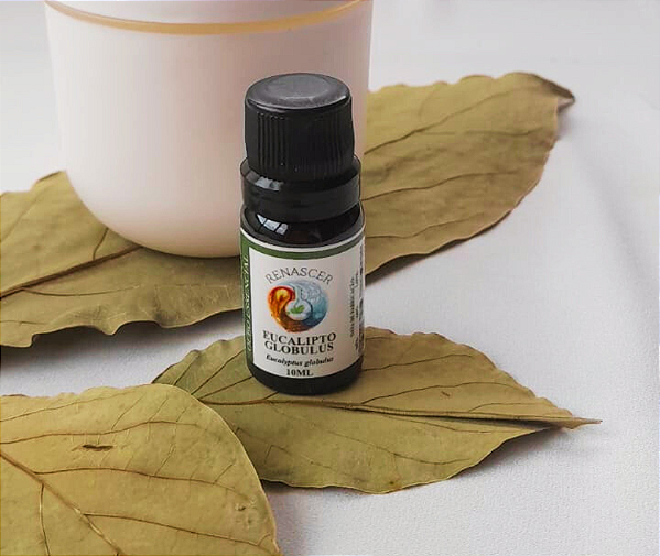 Óleo Essencial de Eucalipto Globulus (Eucalyptus Globulus)