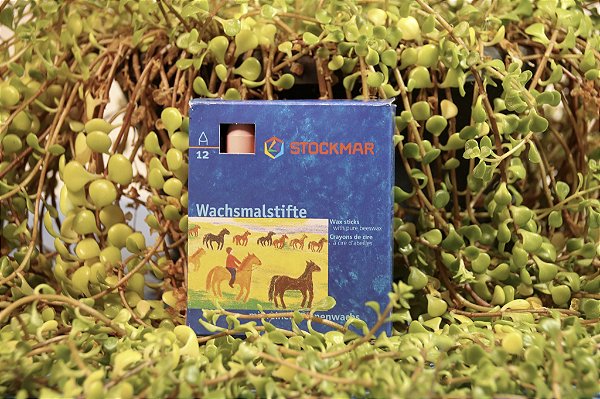 Giz de cera bastão + bloco Stockmar - cada caixa com 12 cores básicas