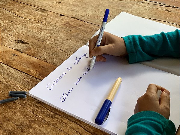 Borracha de caneta tinteiro