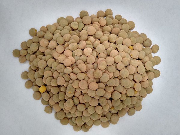Lentilha 500g