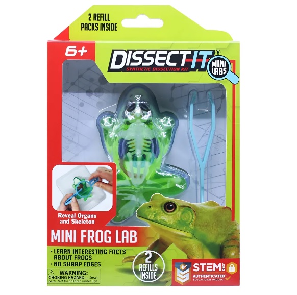 Kit de Dissecação Slimy Mini Lab Dissect-it Sortido 36001 - Candide