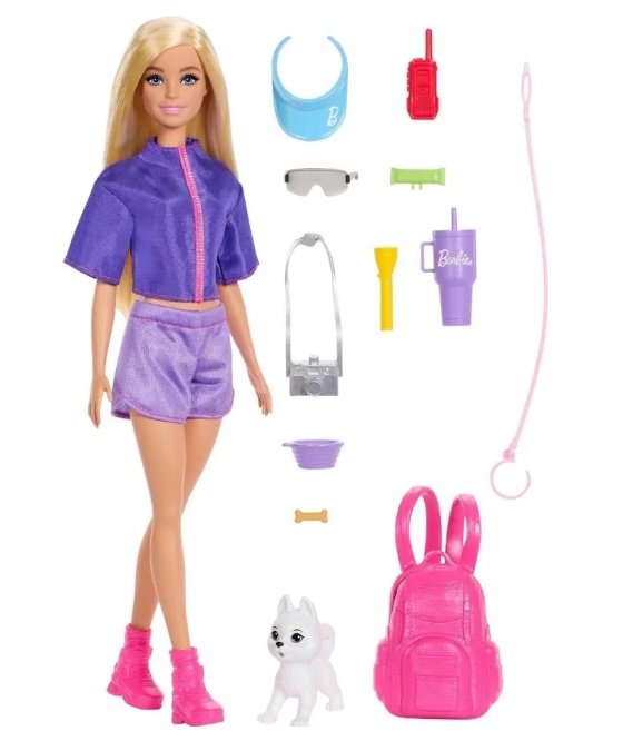 Boneca Barbie Family Malibu Aventuras com Cachorrinho JJV59 - Mattel