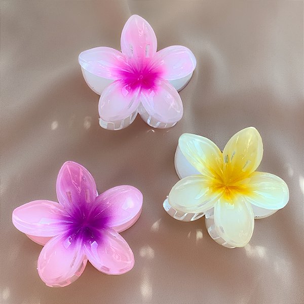 PRESILHA FLOR DEGRADÊ G2