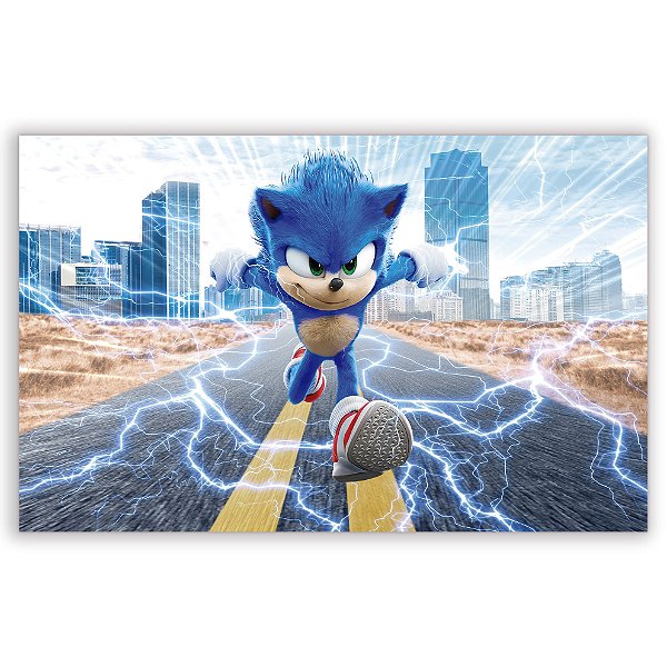 Capa Painel Retangular Sublimado - Sonic