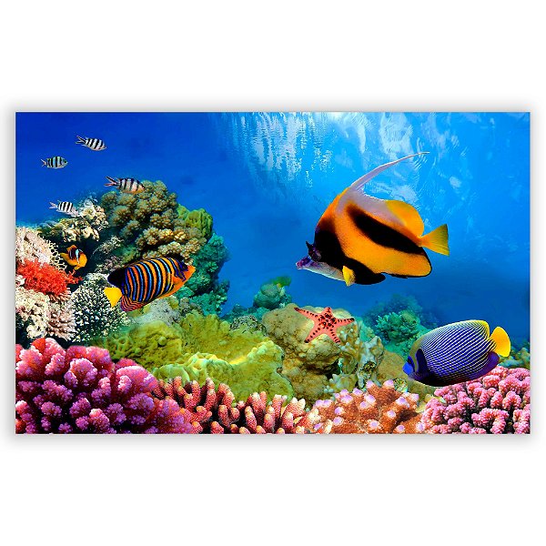 Capa Painel Retangular Sublimado - Fundo do Mar