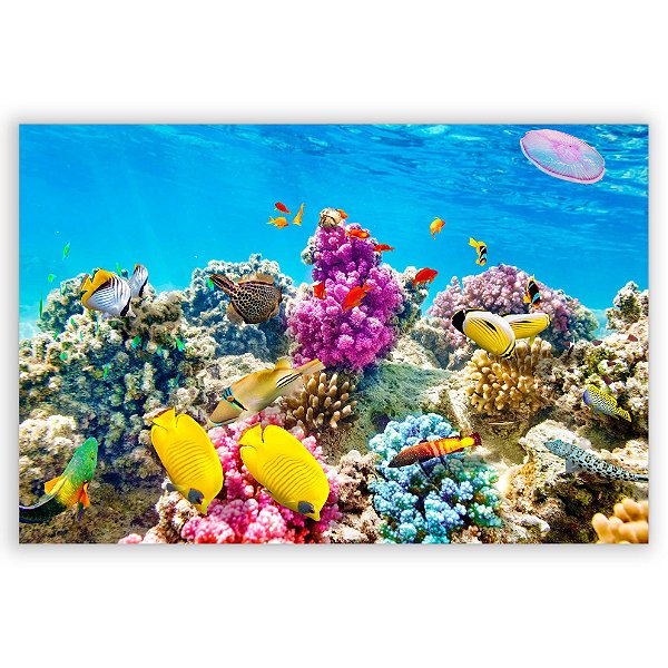 Capa Painel Retangular Sublimado - Fundo do Mar
