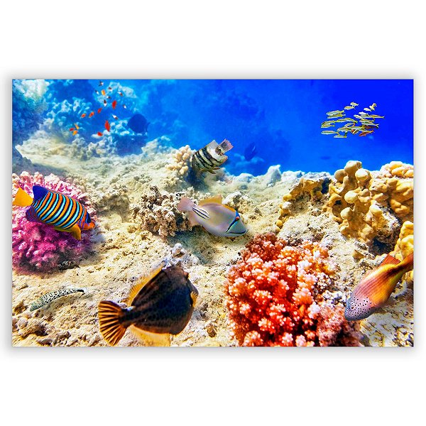 Capa Painel Retangular Sublimado - Fundo do Mar