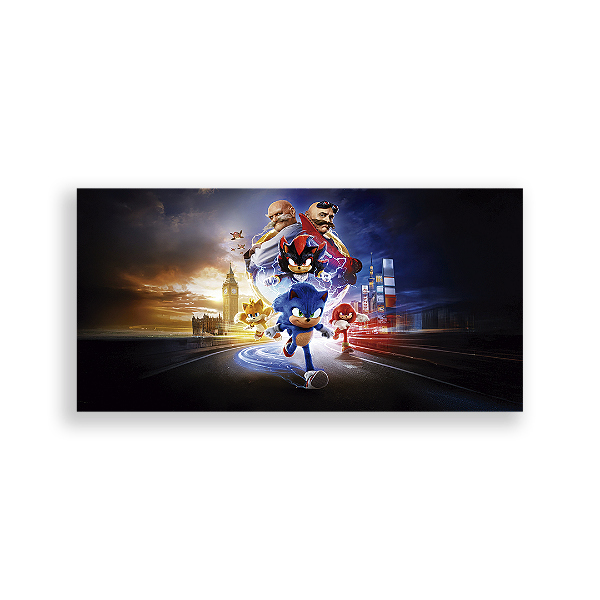 Capa Painel Retangular Sublimado - Sonic