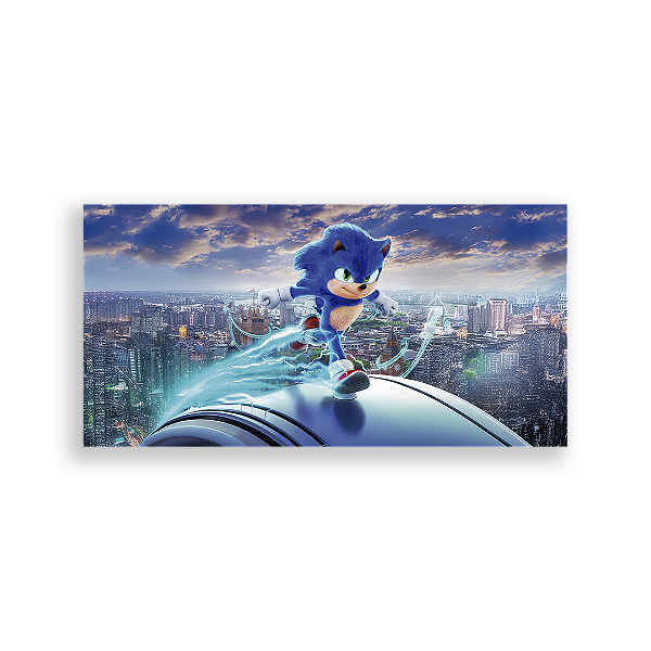Capa Painel Retangular Sublimado - Sonic