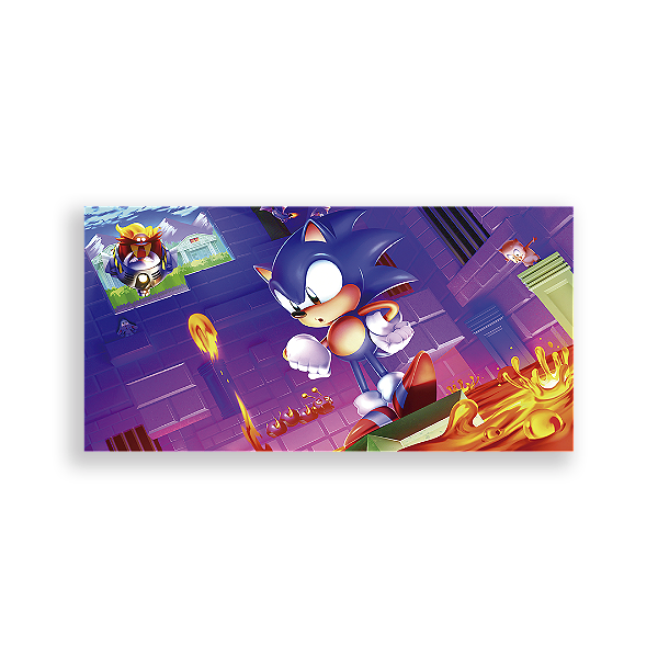 Capa Painel Retangular Sublimado - Sonic